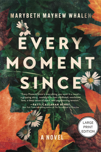 Every Moment Since: A Missing Child Mystery, Cold Case Suspense, Family Secrets, and Small-Town Southern Drama (HarperCollins Large Print Collection) book cover by Marybeth Mayhew Whalen