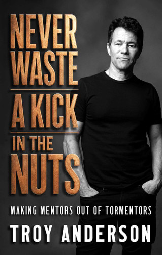 Never Waste a Kick in the Nuts: Making Mentors Out of Tormentors book cover by Troy Anderson