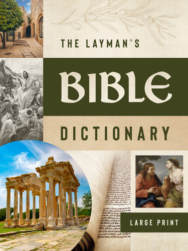 The Layman's Bible Dictionary--Large Print book cover by George W. Knight, Rayburn W. Ray