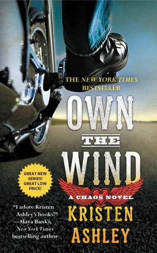 Own the Wind: A Chaos Novel (Chaos #1) book cover by Kristen Ashley