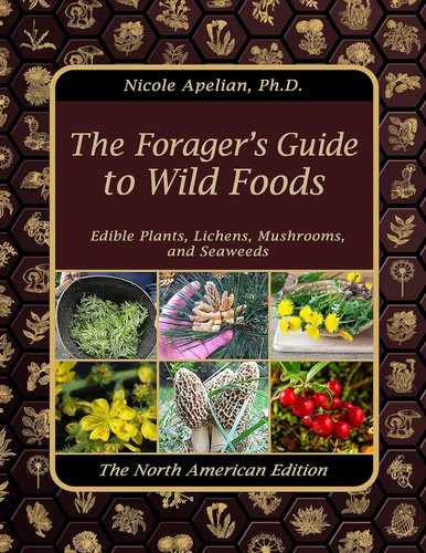 The Forager's Guide to Wild Foods book cover by Nicole Apelian