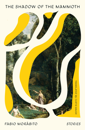 The Shadow of the Mammoth: Stories book cover by Fabio Morábito