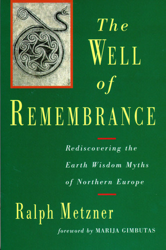 The Well of Remembrance: Rediscovering the Earth Wisdom Myths of Northern Europe book cover by Ralph Metzner
