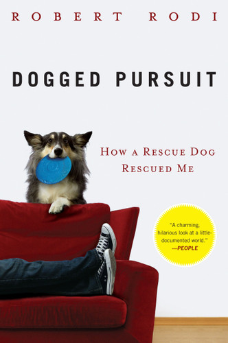 Dogged Pursuit: How a Rescue Dog Rescued Me book cover by Robert Rodi