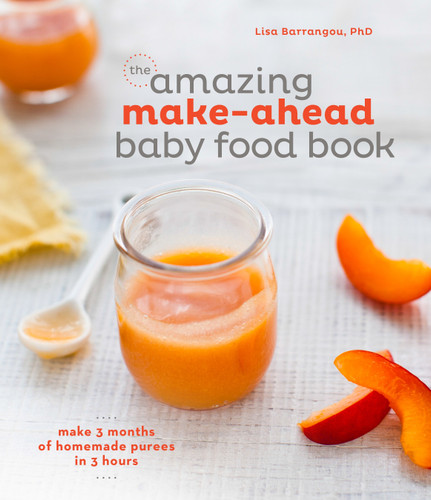 The Amazing Make-Ahead Baby Food Book: Make 3 Months of Homemade Purees in 3 Hours [A Cookbook] book cover by Lisa Barrangou