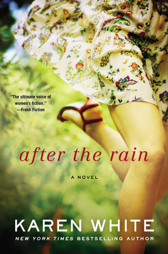 After the Rain (A Falling Home Novel) book cover by Karen White