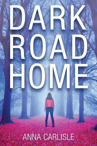 Dark Road Home: A Gin Sullivan Mystery (A Gin Sullivan Mystery) book cover by Anna Carlisle