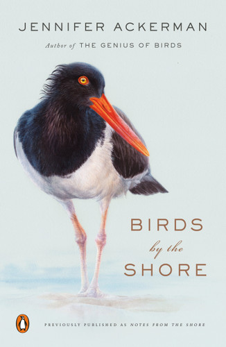 Birds by the Shore: Observing the Natural Life of the Atlantic Coast book cover by Jennifer Ackerman