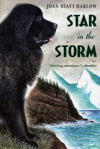 Star in the Storm Cover