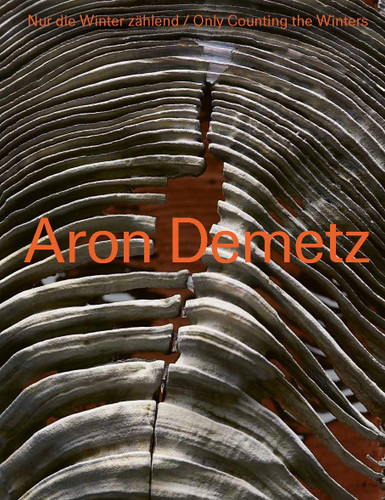 Aron Demetz: Only Counting the Winters book cover by Aron Demetz