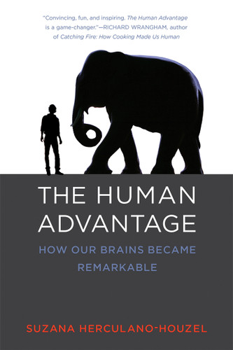 The Human Advantage: How Our Brains Became Remarkable book cover by Suzana Herculano-Houzel