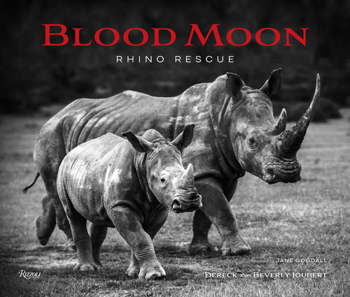 Blood Moon: Rescuing the Rhino book cover by Dereck Joubert, Beverly Joubert