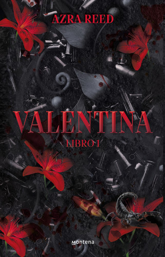 Valentina (Spanish Edition) book cover by AZRA REED