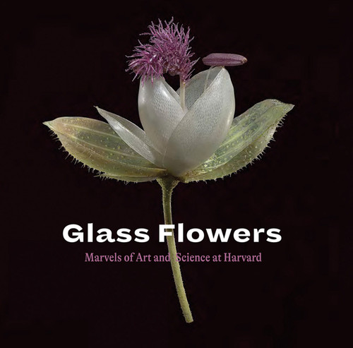 Glass Flowers: Marvels of Art and Science at Harvard book cover by Jennifer Brown, Scott E. Fulton, Donald H. Pfister