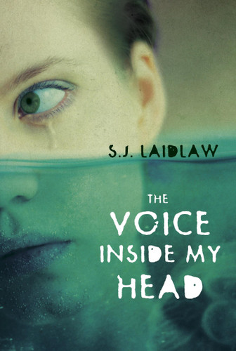 The Voice inside My Head book cover by S.J. Laidlaw