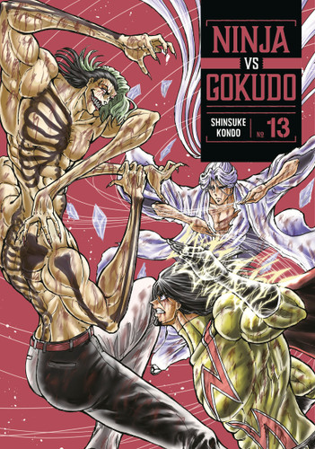 Ninja Vs. Gokudo 13 (Ninja Vs. Gokudo) book cover by Shinsuke Kondo