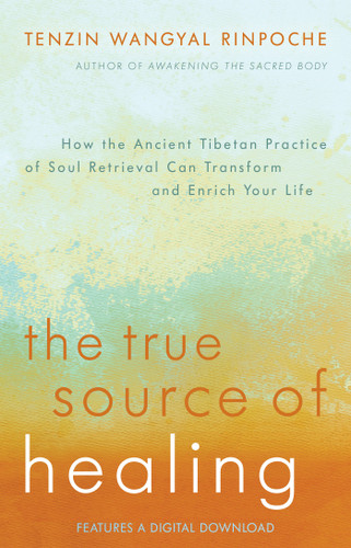 The True Source of Healing: How the Ancient Tibetan Practice of Soul Retrieval Can Transform and Enrich YourLife book cover by Tenzin Wangyal Rinpoche