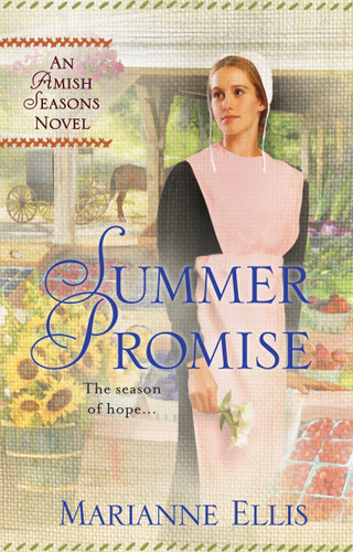 Summer Promise (A Season Novel) book cover by Marianne Ellis