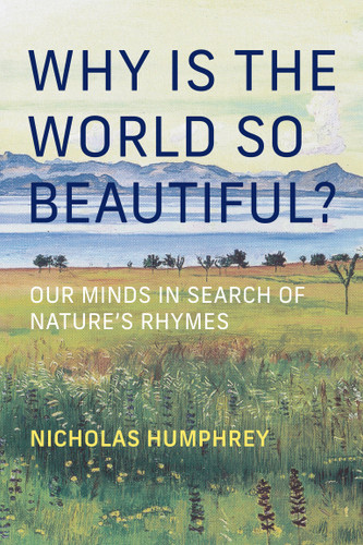 Why Is the World So Beautiful?: Our Minds in Search of Nature's Rhymes book cover by Nicholas Humphrey