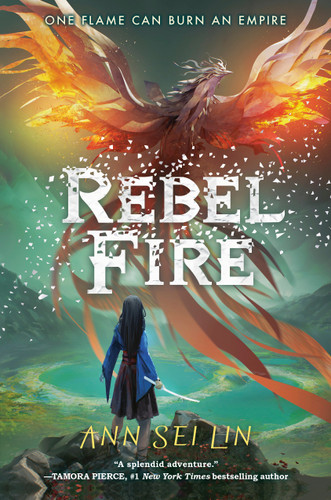Rebel Fire (Rebel Skies) book cover by Ann Sei Lin