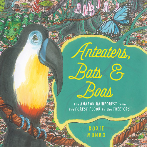 Anteaters, Bats & Boas: The Amazon Rainforest from the Forest Floor to the Treetops book cover by Roxie Munro