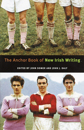 The Anchor Book of New Irish Writing book cover by 
