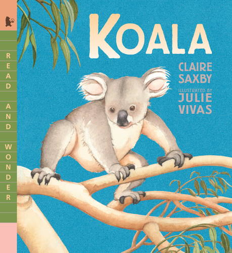 Koala: Read and Wonder (Read and Wonder) book cover by Claire Saxby