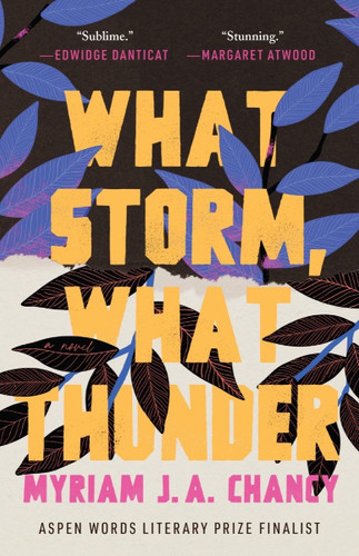 What Storm, What Thunder book cover by Myriam J.A. Chancy