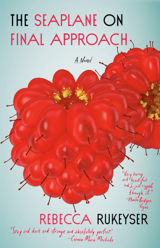 The Seaplane on Final Approach: A Novel book cover by Rebecca Rukeyser