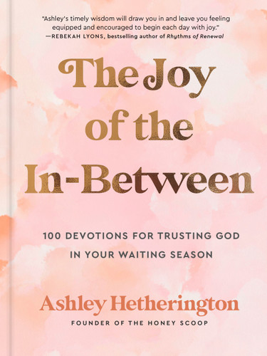 The Joy of the In-Between: 100 Devotions for Trusting God in Your Waiting Season: A Devotional book cover by Ashley Hetherington