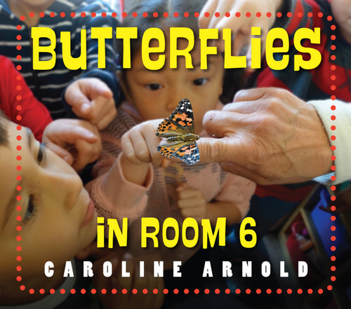 Butterflies in Room 6: See How They Grow (Life Cycles in Room 6) book cover by Caroline Arnold