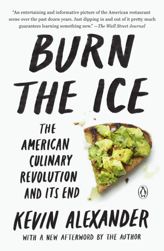 Burn the Ice: The American Culinary Revolution and Its End book cover by Kevin Alexander
