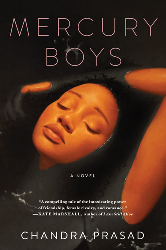 Mercury Boys book cover by Chandra Prasad