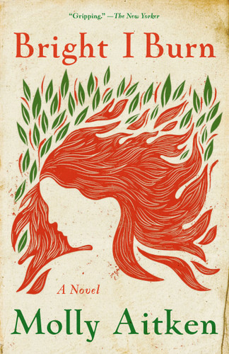 Bright I Burn: A Novel book cover by Molly Aitken