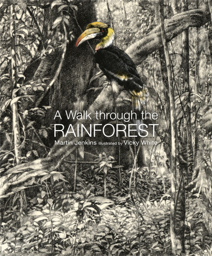 A Walk Through the Rain Forest book cover by Martin Jenkins