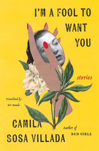 I'm a Fool to Want You: Stories book cover by Camila Sosa Villada