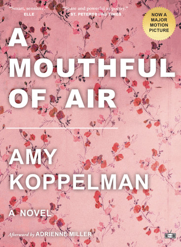 A Mouthful of Air book cover by Amy Koppelman