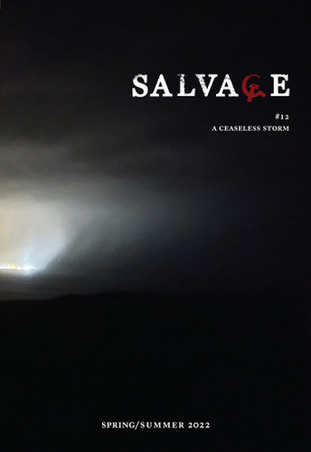 Salvage #12: A Ceaseless Storm book cover by Salvage