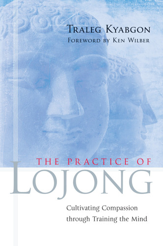 The Practice of Lojong: Cultivating Compassion through Training the Mind book cover by Traleg Kyabgon