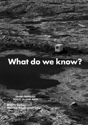 What Do We Know? What Do We Have? What Do We Miss? What Do We Love?: Jahresring 65 (Sternberg Press / Jahresring) book cover by 