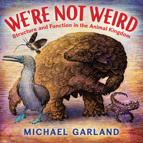 We're Not Weird: Structure and Function in the Animal Kingdom book cover by Michael Garland