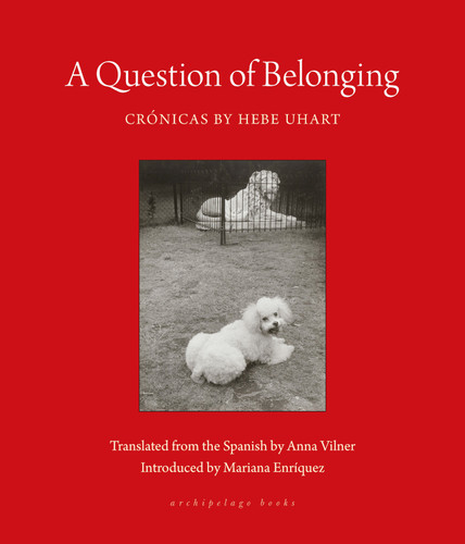 A Question of Belonging: Crónicas book cover by Hebe Uhart