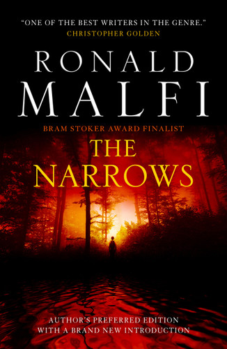 The Narrows book cover by Ronald Malfi