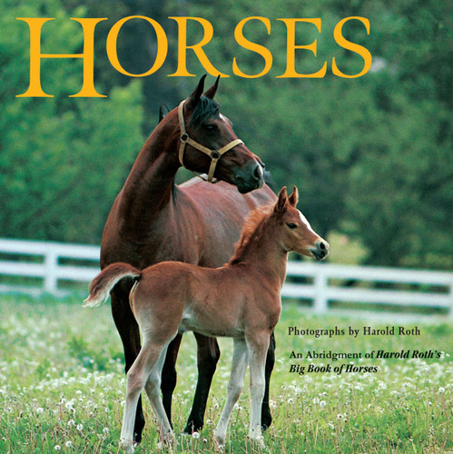 Horses: An Abridgement of Harold Roth's Big Book of Horses book cover by Laura Driscoll