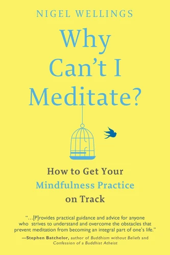Why Can't I Meditate?: How to Get Your Mindfulness Practice on Track book cover by Nigel Wellings