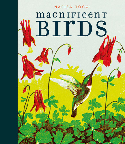 Magnificent Birds book cover by Candlewick Press