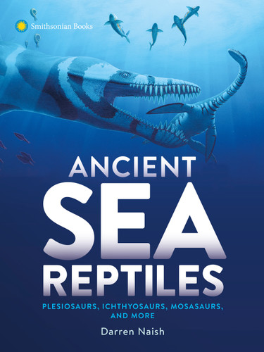 Ancient Sea Reptiles: Plesiosaurs, Ichthyosaurs, Mosasaurs, and More book cover by Darren Naish