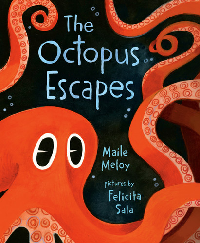The Octopus Escapes book cover by Maile Meloy