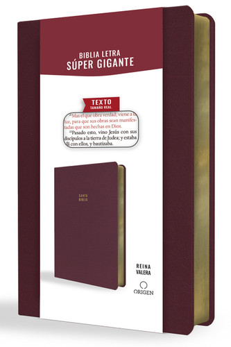 Biblia Reina Valera letra súper gigante, símil piel vinotinto / Spanish Bible Reina Valera Super Giant Print, Burgundy Leathersoft book cover by Reina Valera 1909