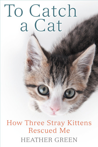 To Catch a Cat: How Three Stray Kittens Rescued Me book cover by Heather Green